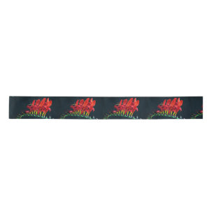 Crocosomia Lucifer Montbretia Floral Satin Ribbon