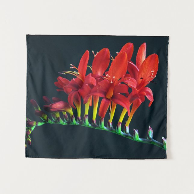 Crocosomia Lucifer Montbretia Floral Tapestry (Front (Horizontal))