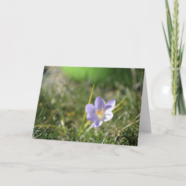 Crocus Blank Thank You Card (Front)