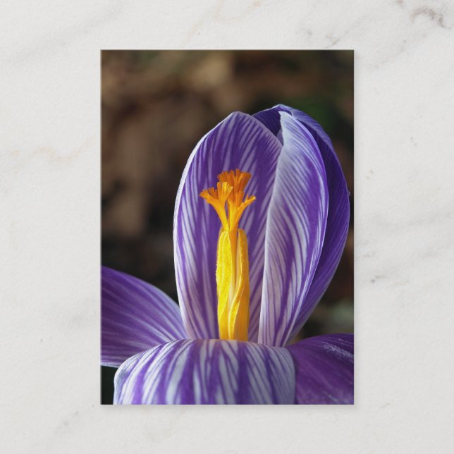 Crocus Blossom - Business Card (Front)