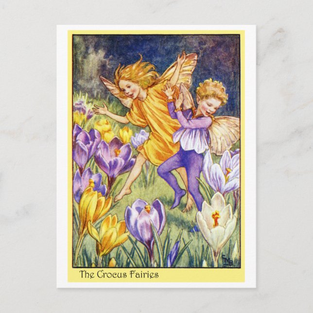 Crocus Fairy Postcard (Front)