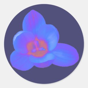 Crocus Flower Hot and Cold Sticker