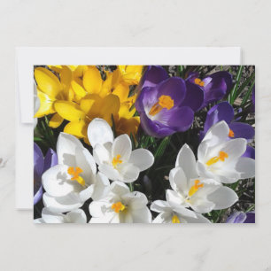 Crocus Flower Mix Floral Thank You Card