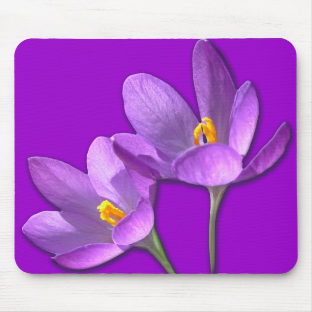 Crocus Flower Mousepad Purple / Blue Decor Gifts (Front)