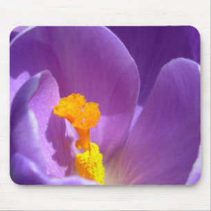 Crocus Flower Mousepad Purple / Blue Decor Gifts