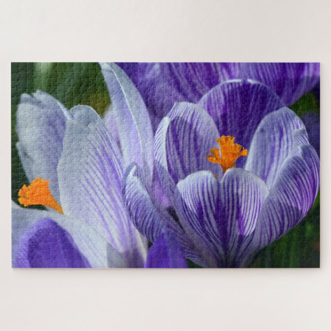 crocus flower puzzle (Horizontal)