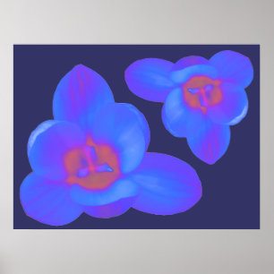 Crocus Flowers Hot and Cold Print