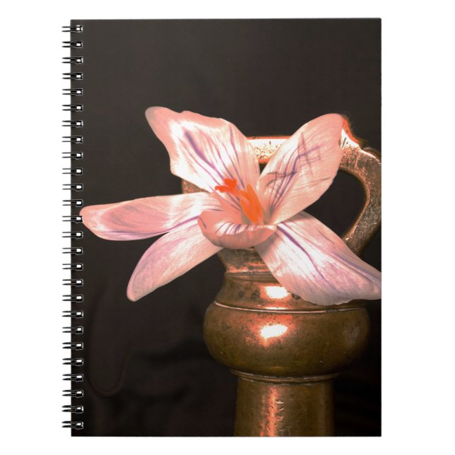 Crocus Flowers Notebook (Front)