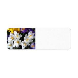 Crocus Flowers Spring Mix Return Address Label