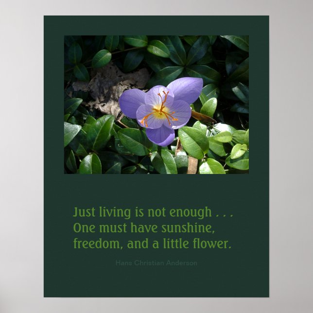 Crocus garden inspirational poster (Front)