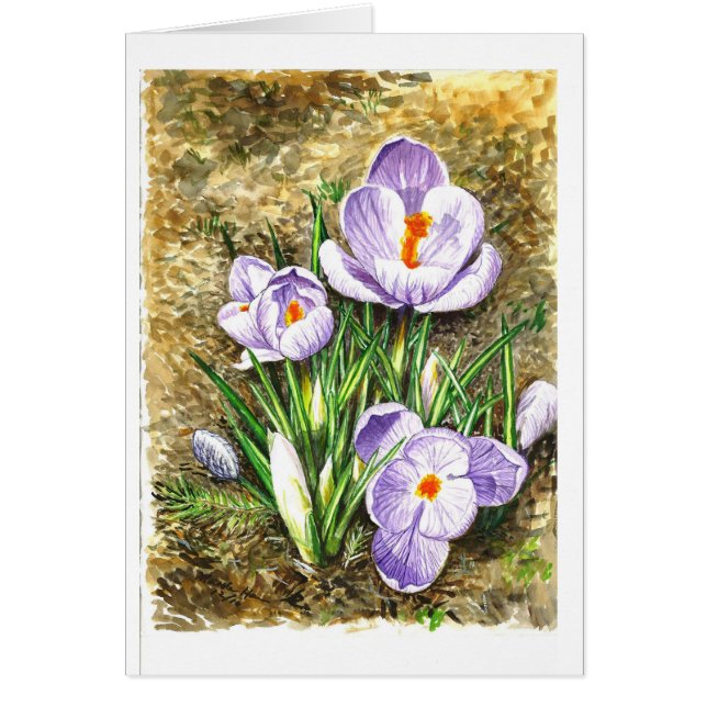Crocus in Spring (Front)