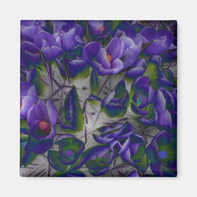 Crocus Magnet (Front)