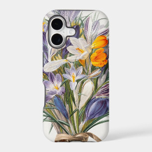 Crocus Spring Flower Botanical Floral Art