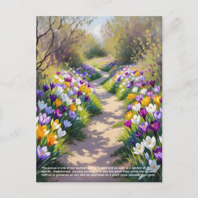 Crocus Symbolism Postcard (Front)
