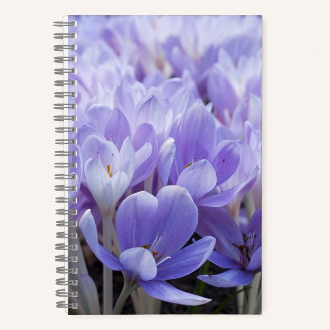 Crocus Wrapped Canvas Print Notebook (Front)