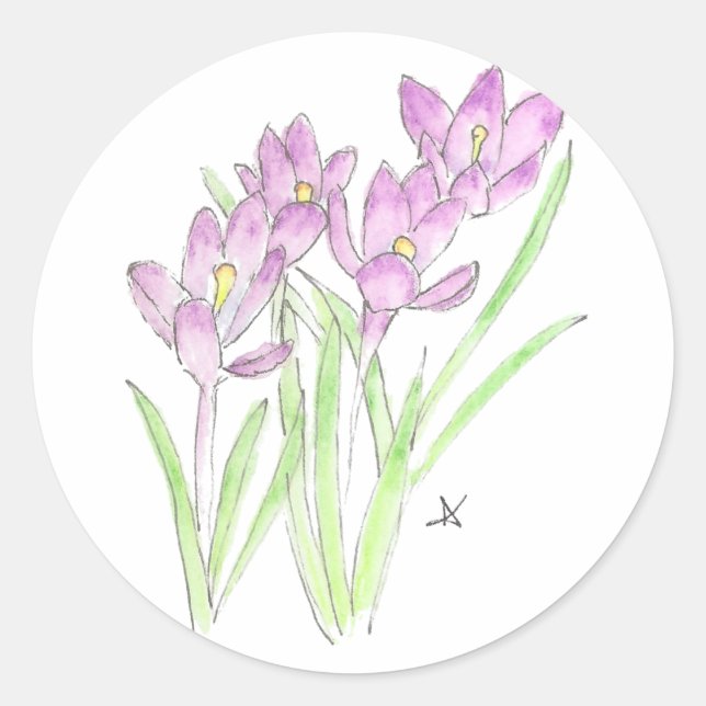 crocuses classic round sticker (Front)