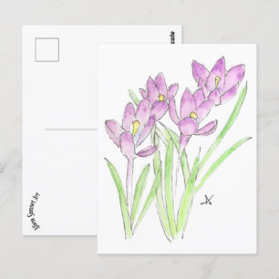 crocuses postcard