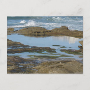 Cronulla Australia Original Travel Photography  Postcard