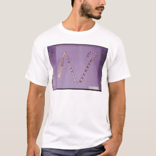 Crook and flail, from the Tomb of Tutankhamun T-Shirt