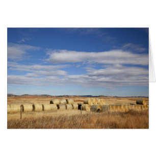 Crook County, Hay Bales