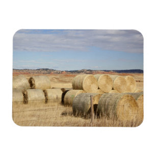 Crook County, Hay Bales 2 Magnet