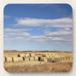 Crook County, Hay Bales Coaster