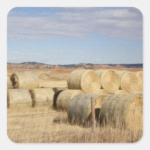 Crook County, Hay Bales Square Sticker