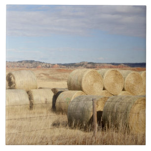 Crook County, Hay Bales Tile