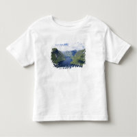Crooked Arm, Malaspina Reach, Doubtful Sound,