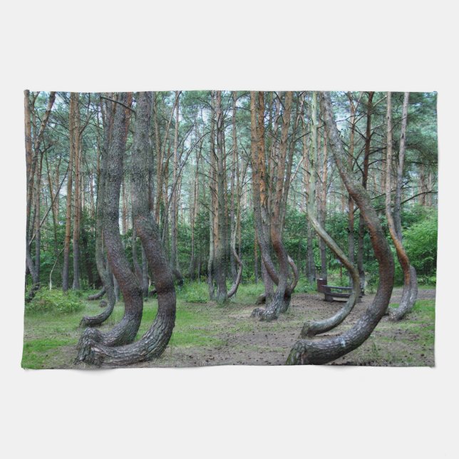 Crooked Forest - Poland Tea Towel (Horizontal)