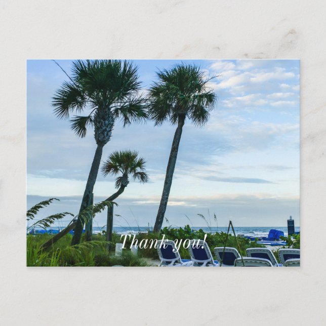 Crooked Palm Trees Thank You Postcard (Front)