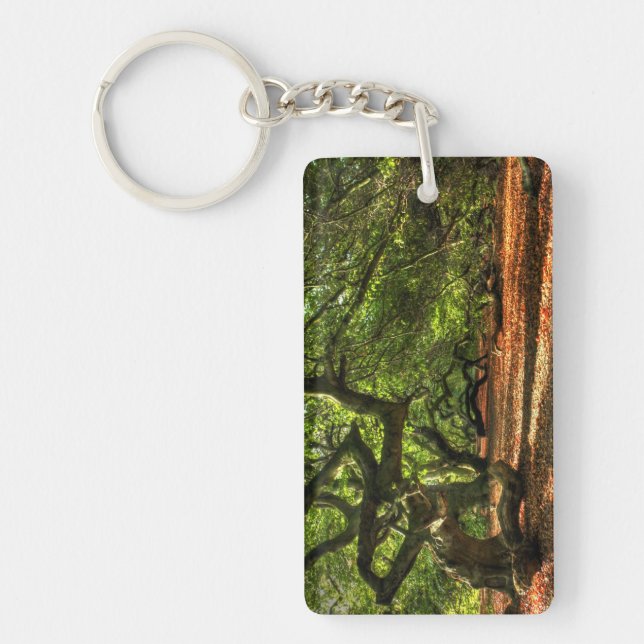 Crooked Trees of Lavizzara Key Ring (Front)