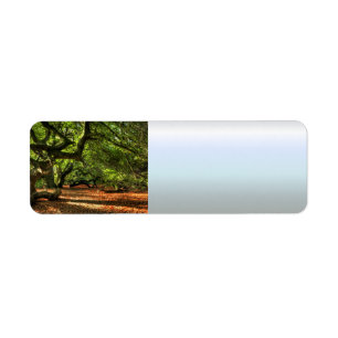 Crooked Trees of Lavizzara Return Address Label
