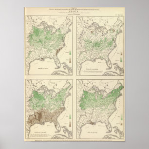 Crops, Statistical US Lithograph Poster