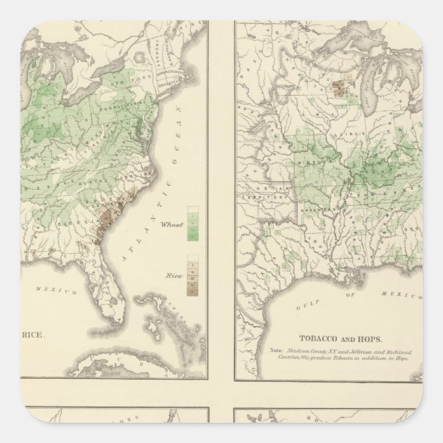 Crops, Statistical US Lithograph Square Sticker (Front)