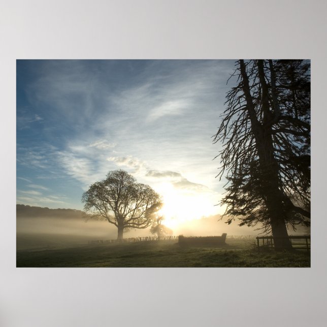 Cross-country course at dawn poster (Front)