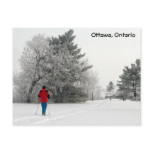 Cross Country Skiing on a Frosty Day