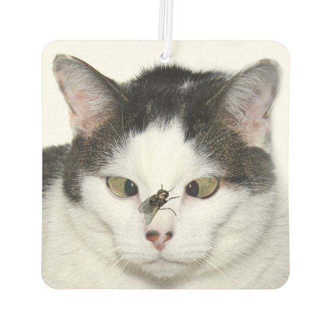 Cross eyed cat and fly car air freshener (Back)