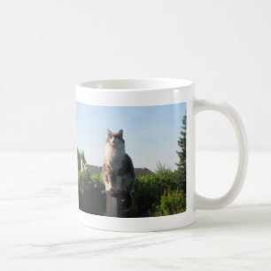 Cross eyed cat and Luke 1: 78-79 Coffee Mug
