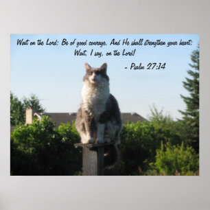 Cross Eyed cat and Psalm 27:14 Poster