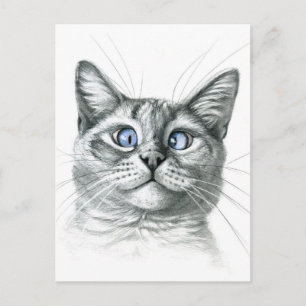 Cross Eyed cat G122 Postcard