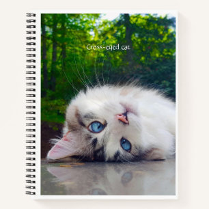 Cross-eyed cat notebook