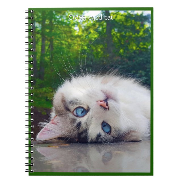 Cross-eyed cat notebook (Front)