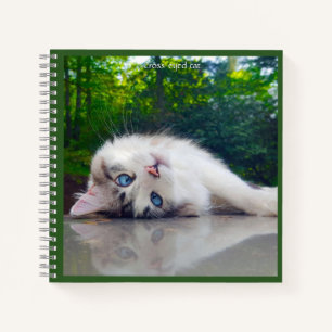 Cross-eyed cat notebook