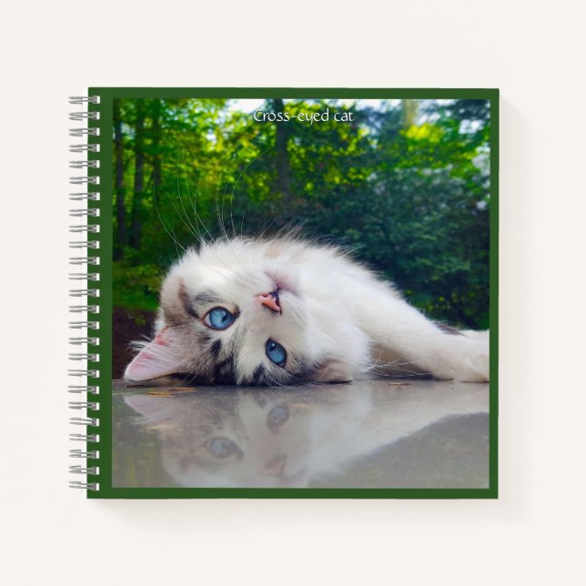 Cross-eyed cat notebook (Front)