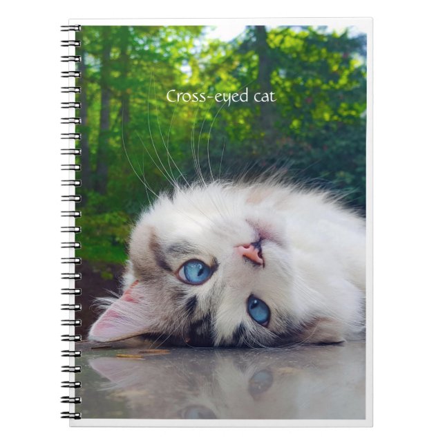 Cross-eyed cat notebook (Front)