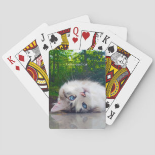 Cross-eyed cat playing cards