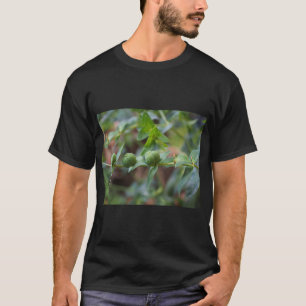 Cross-Leaved Milkweed Nature Tee