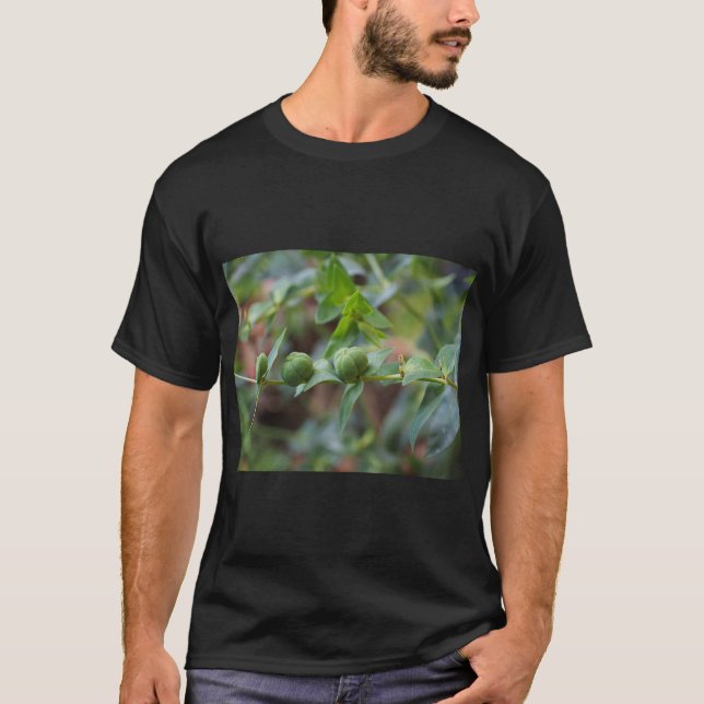 Cross-Leaved Milkweed Nature Tee (Front)
