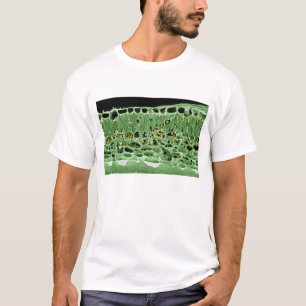 Cross Section of Leaf T-Shirt